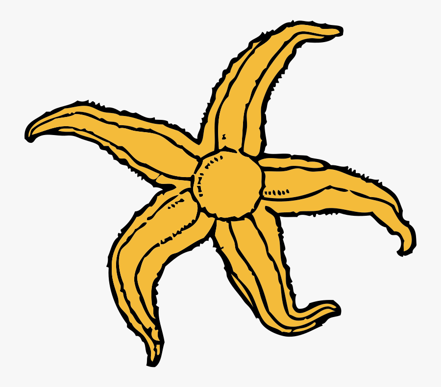 Starfish Clip Art, Transparent Clipart