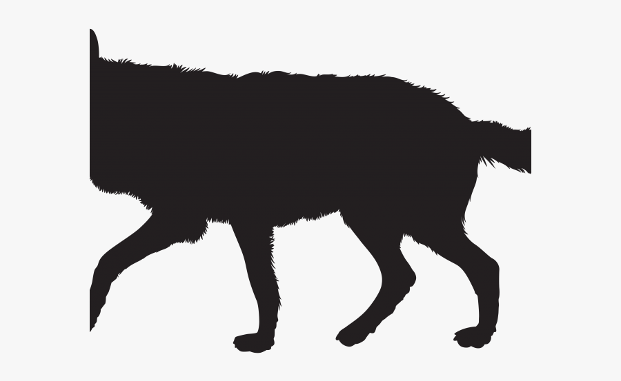 White Wolf Clipart Wolf Silhouette - Transparent Background Wolf Silhouettes, Transparent Clipart
