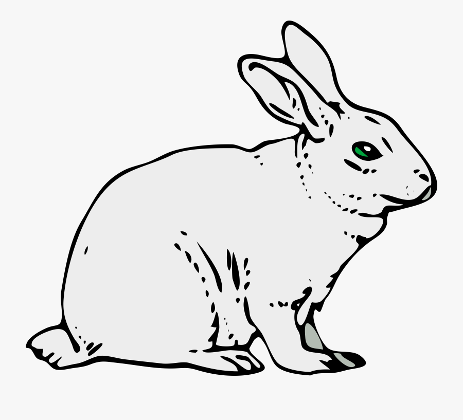 Rabbit Clipart - Clipart Image Of Rabbit, Transparent Clipart