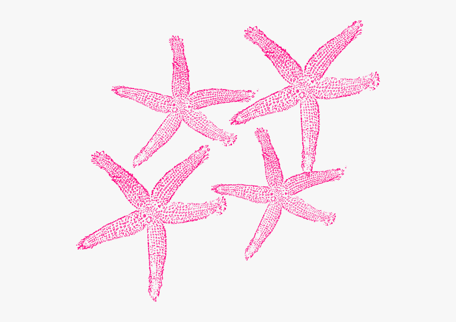 Starfish Prints Clip Art - Starfish, Transparent Clipart