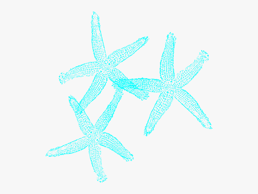 Coral And Turquoise Starfish Clip Art At Clker - Coral Turquoise Starfish, Transparent Clipart