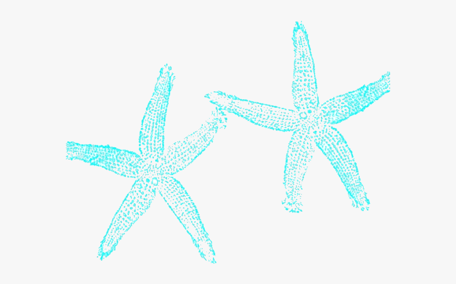 Starfish Clipart Aqua Fish Clip Art Hd X Transparent - Fish Clip Art, Transparent Clipart