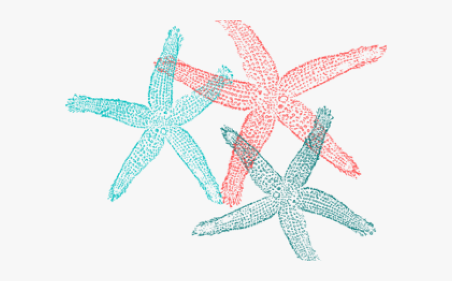 Transparent Starfish Clipart Png - Fish Clip Art, Transparent Clipart