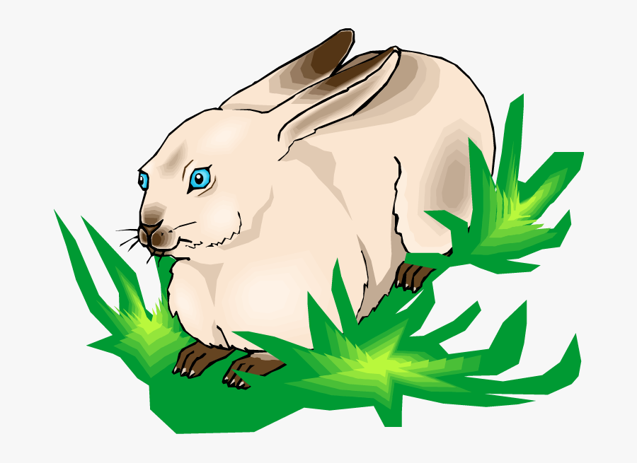 Rabbits Eating Grass In Forest Clipart, Transparent Clipart