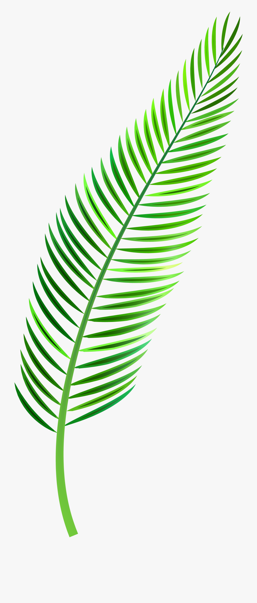 Palm Leaf Png Clip Art - Palm Leaf Clipart Png, Transparent Clipart