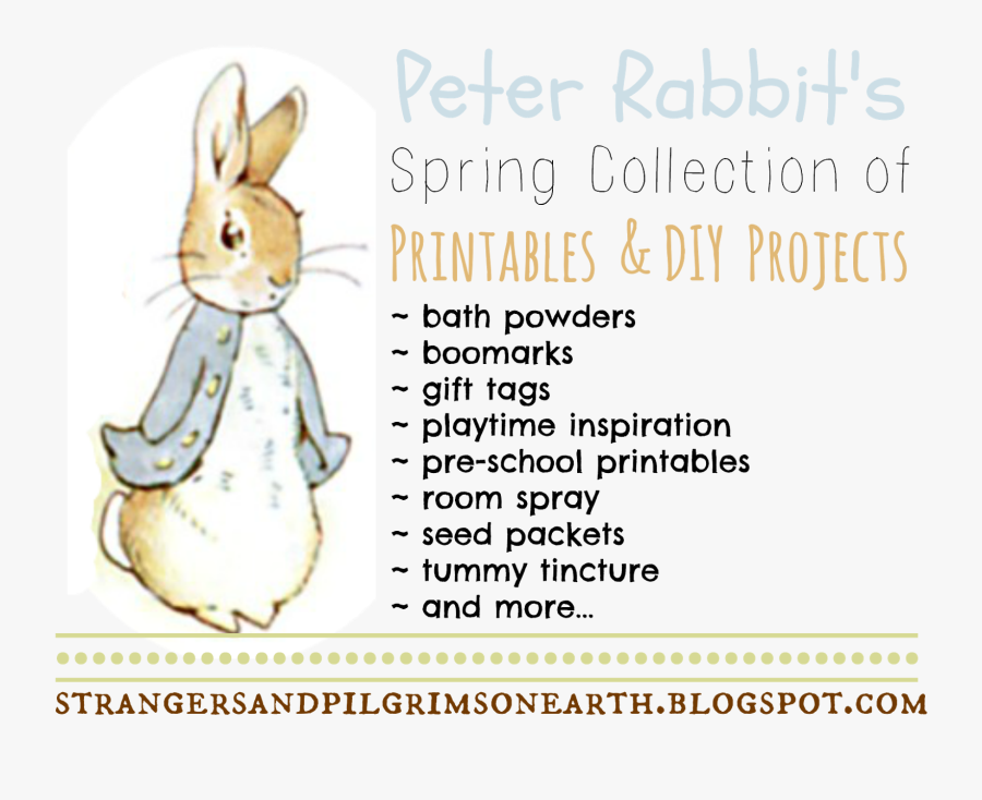 Strangers & Pilgrims On Earth - Diy Peter Rabbit, Transparent Clipart