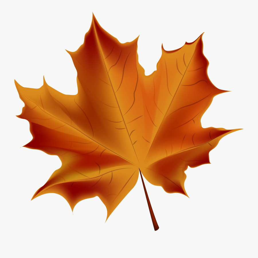 Beautiful Red Autumn Leaf Transparent Png Clip Art - Transparent Fall Leaf Clipart, Transparent Clipart