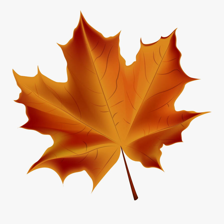 Beautiful Red Autumn Leaf Transparent Png Clip Art - Transparent Fall ...