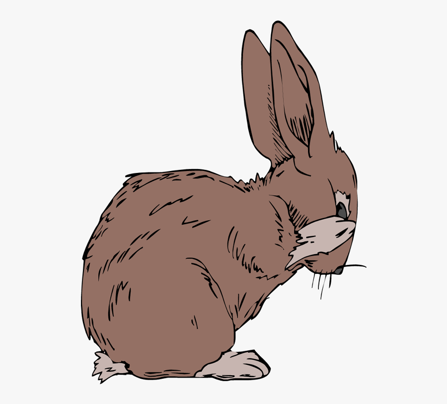 Velveteen Rabbit Png, Transparent Clipart