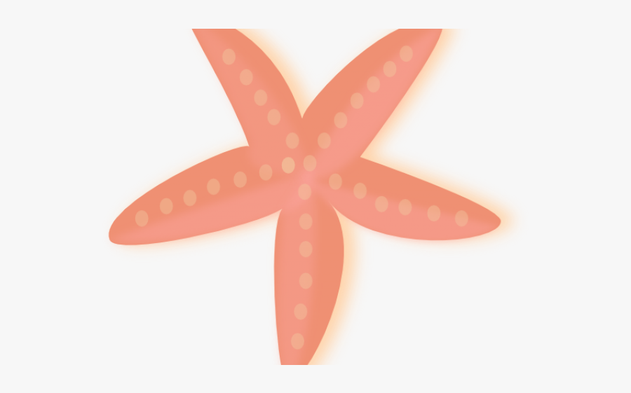 Starfish, Transparent Clipart