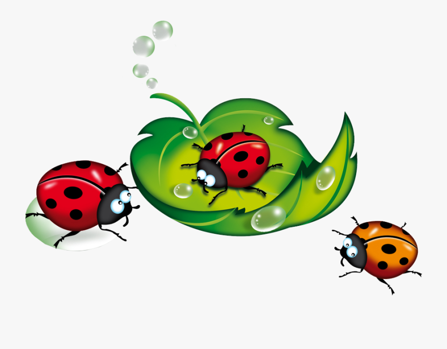 Ladybug Clipart Vintage - Клипарт Лето На Прозрачном Фоне, Transparent Clipart