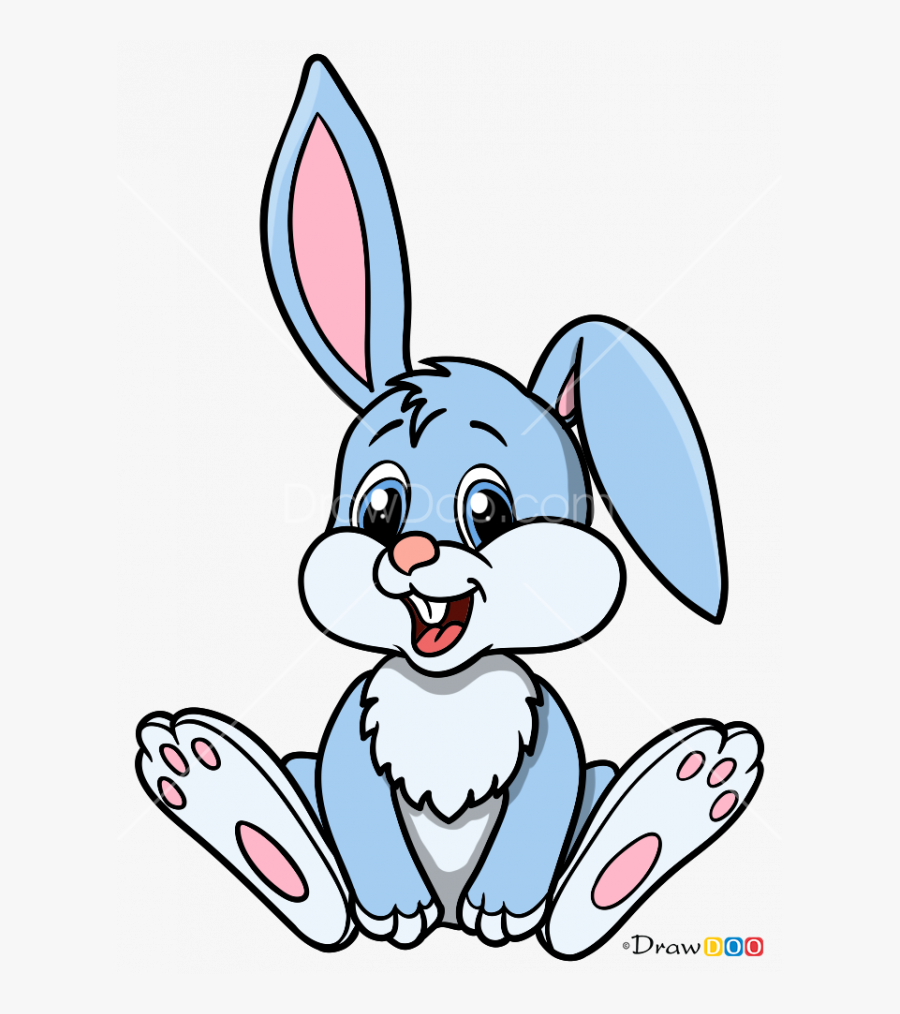 Draw A Picture Of Rabbit, Transparent Clipart