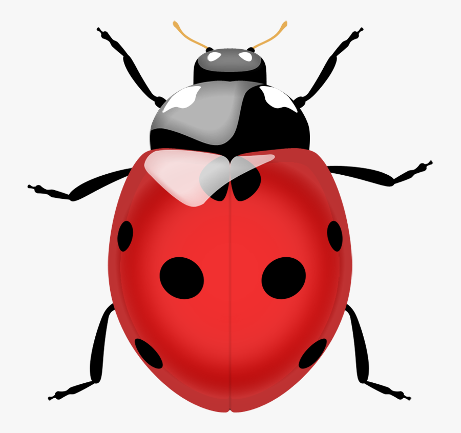 Ladybug Png, Transparent Clipart