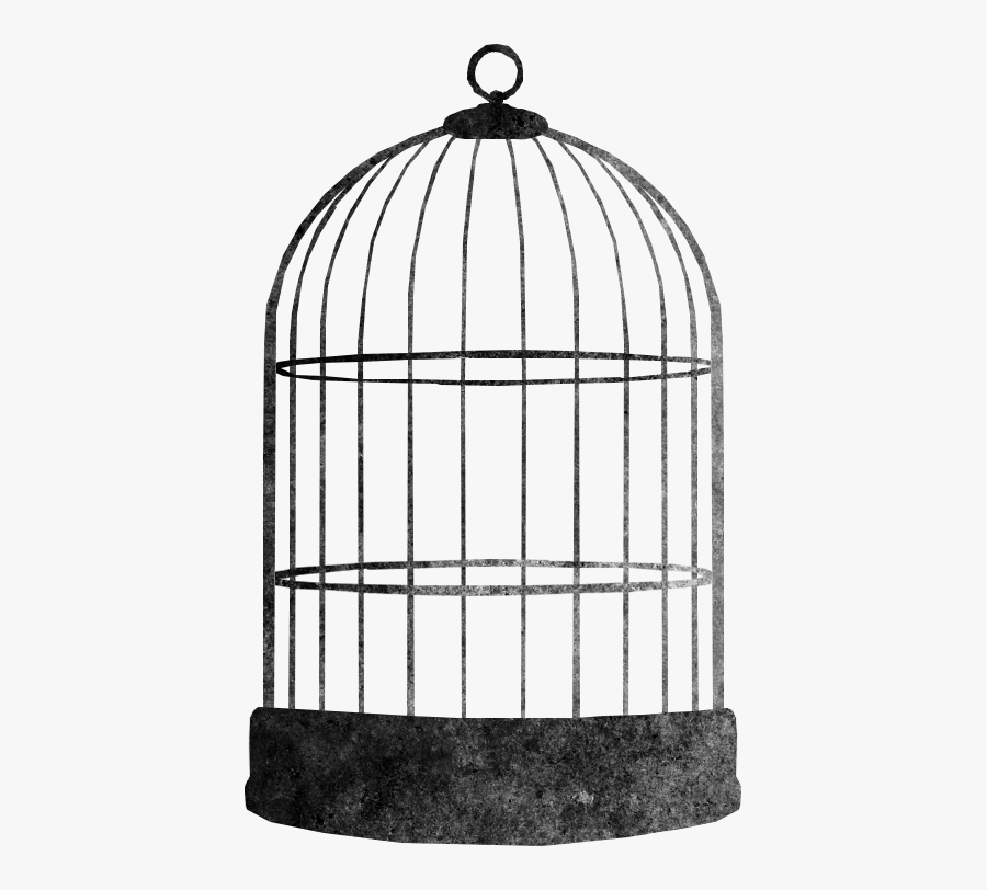 Bird Cage - Cage - Birds Cage Png Hd 