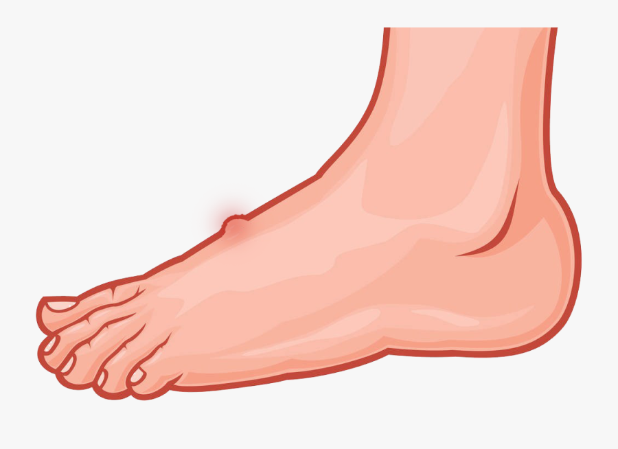 Transparent Foot Human - Free Clipart Foot, Transparent Clipart