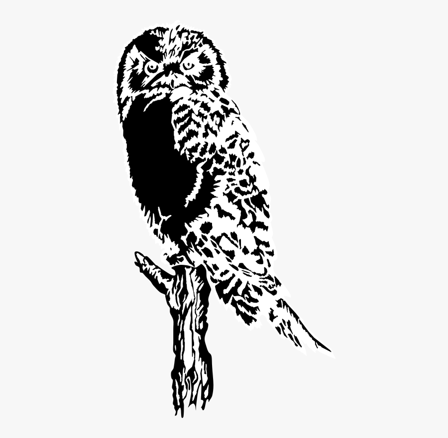 Barn Owl Clipart Great Grey Owl - Black And White Clip Art Barn Owl, Transparent Clipart