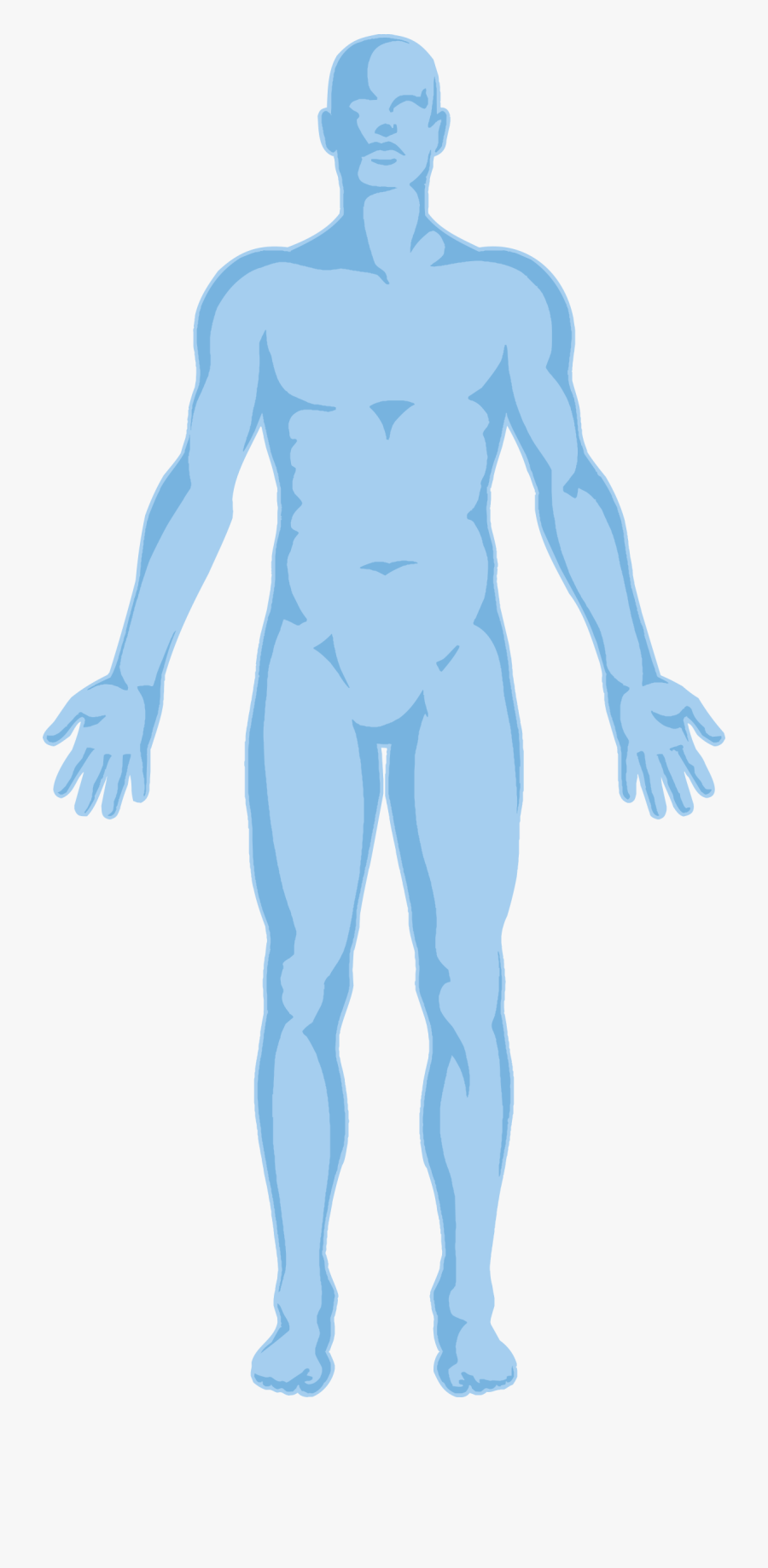 Body Outline Transparent Background - Human Body Outline Transparent Background, Transparent Clipart
