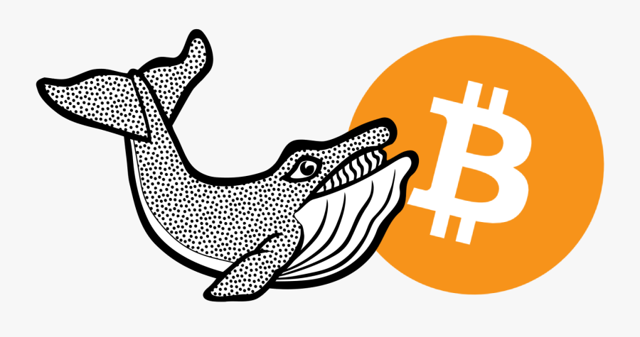 Whale - Bitcoin, Transparent Clipart
