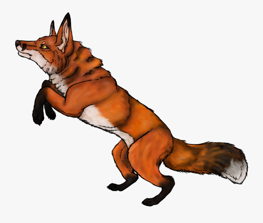 Red Fox By Isnowonash On Clipart Library - Swift Fox, Transparent Clipart