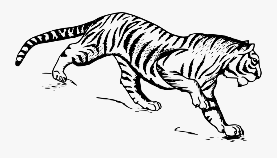 Picture Library Download Flute Clipart Mayilpeeli - Tiger Drawings, Transparent Clipart
