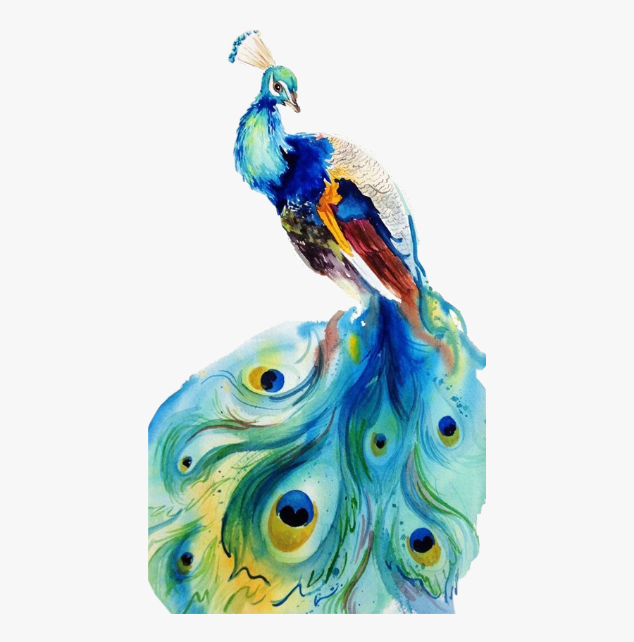 Bird Freetoedit - Watercolor Painting Of Peacock, Transparent Clipart