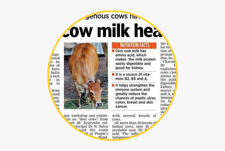 Cow Milk Visiting Card, Transparent Clipart