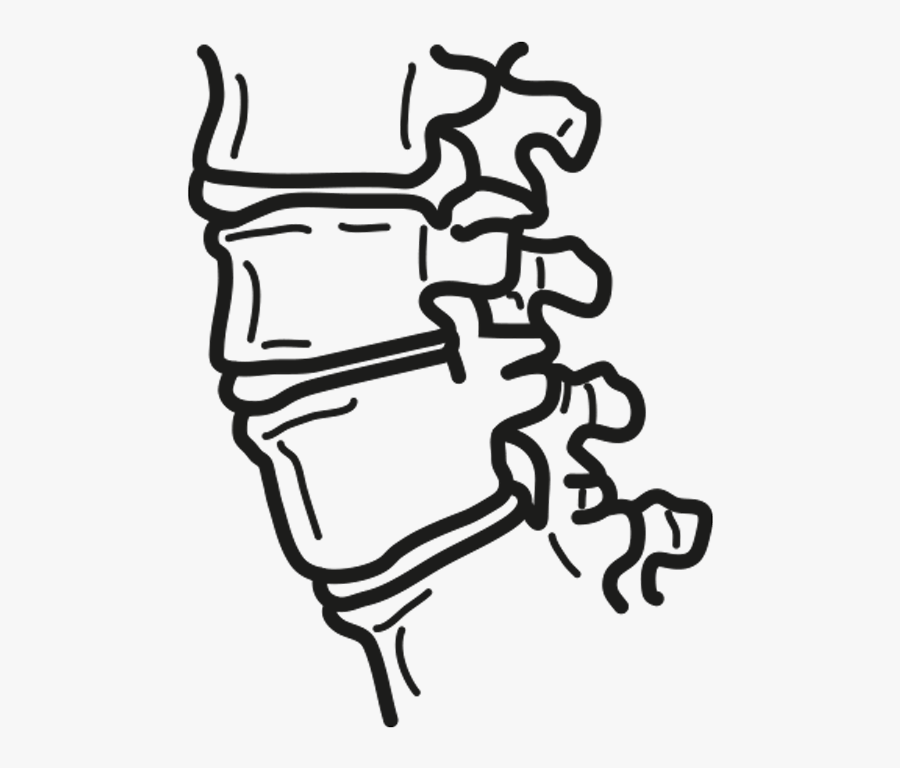Drawing Spine, Transparent Clipart