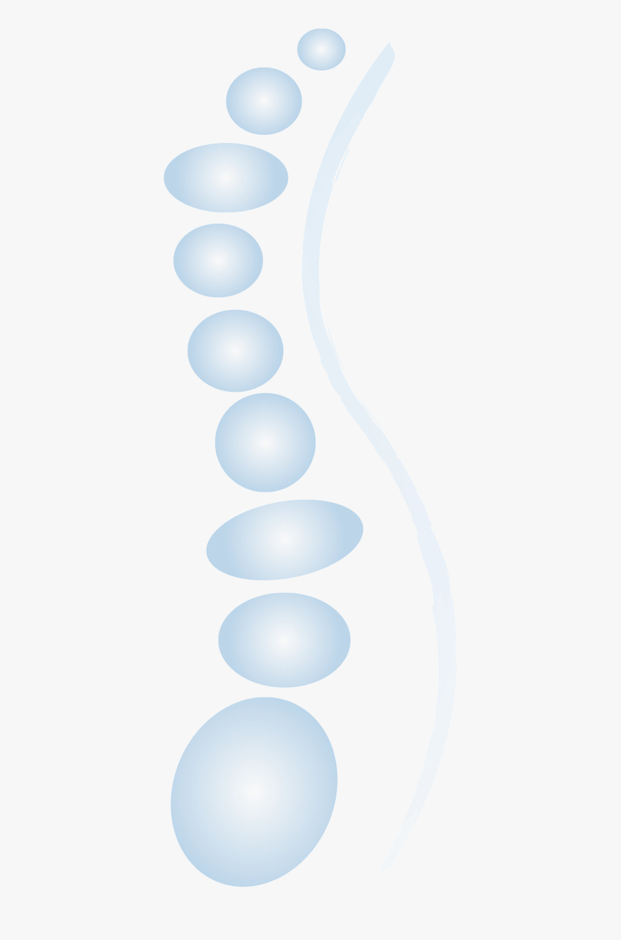 Spine Ellipses Circle Free Picture, Transparent Clipart