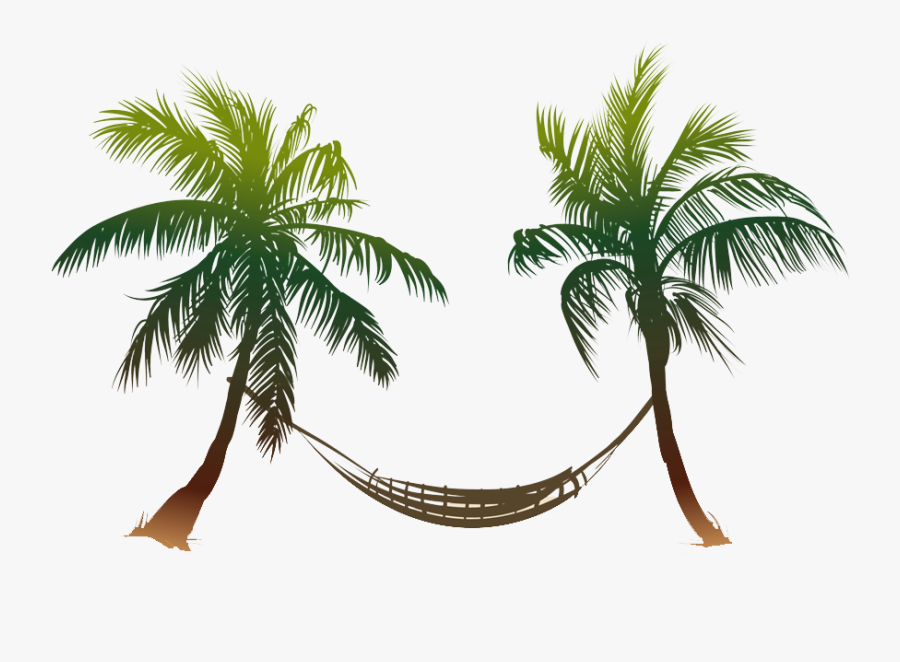 Banner Tree - Playas Con Palmas De Coco, Transparent Clipart