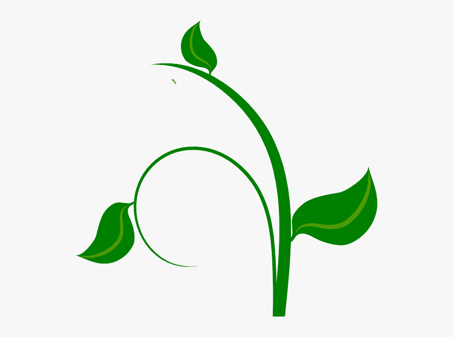 Green - Leaves - Border - Green Leaf Png Vector, Transparent Clipart