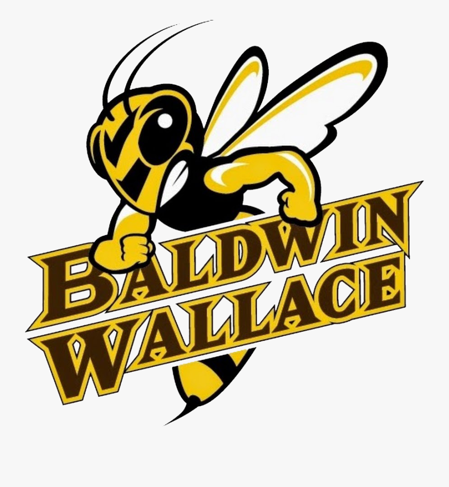 Ten Student Athletes Select Bw To Continue Wrestling - Baldwin Wallace Yellow Jackets, Transparent Clipart