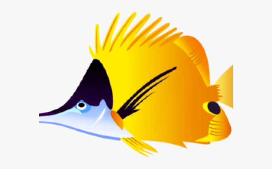 Tropical Fish Clipart Beta - Tropical Fish Clipart, Transparent Clipart