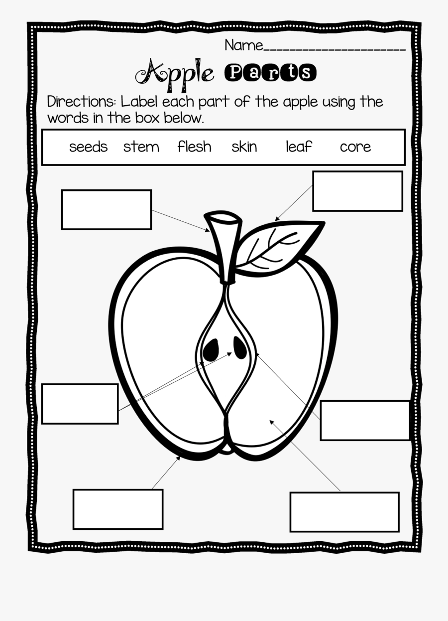 Parts Of An Apple Worksheet Worksheets For All - Label The Parts Of An Apple Worksheet, Transparent Clipart