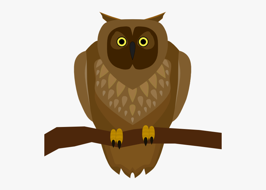 Bird Of Prey,owl,bird - Owl Sitting On A Branch Clipart, Transparent Clipart