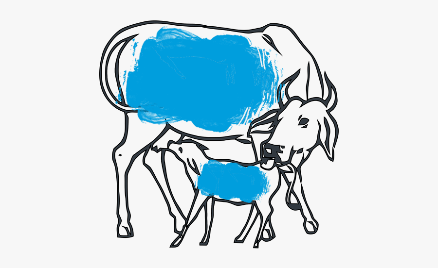 Cow And Calf Drawing, Transparent Clipart