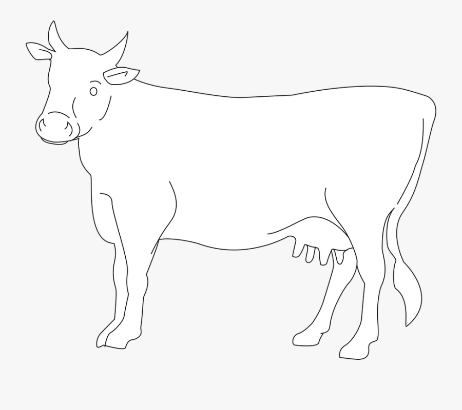 Cow, Cattle, Livestock, Farm, Animal, Beef, Dairy, - Cow Drawing Side View, Transparent Clipart
