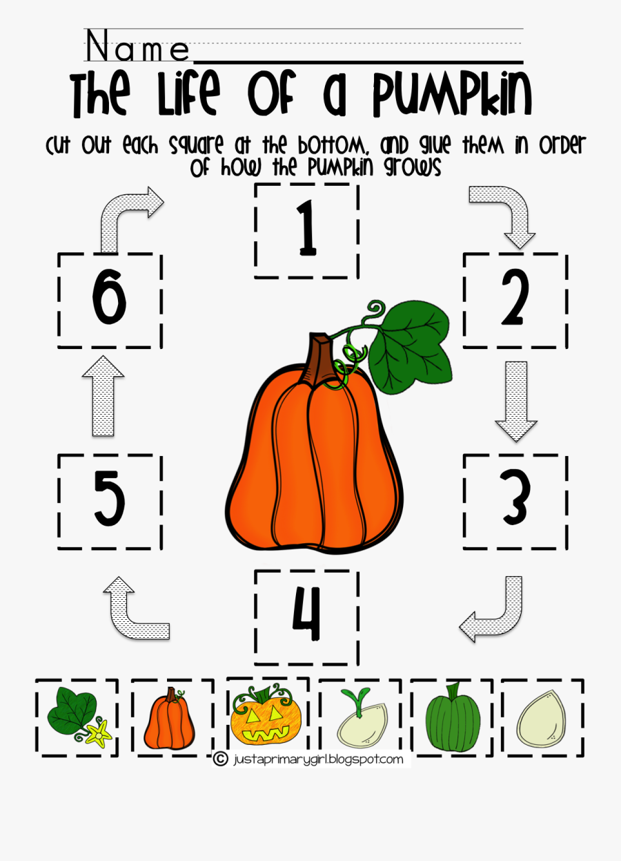 Transparent Pumpkin Life Cycle Clipart - Life Cycle Of A Pumpkin Worksheet Preschool, Transparent Clipart