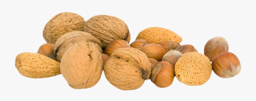 Walnut Png - Nut Png, Transparent Clipart