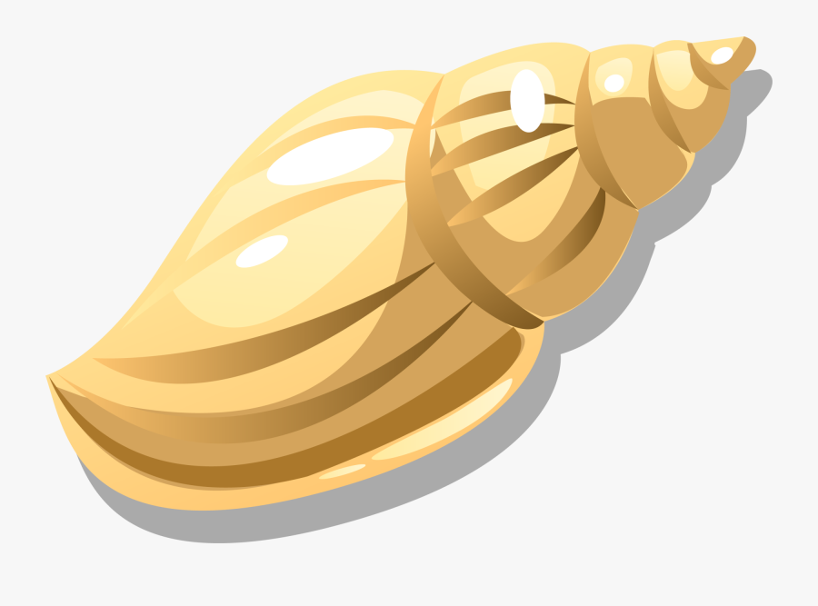 Nut Clipart Walnut Shell, Transparent Clipart