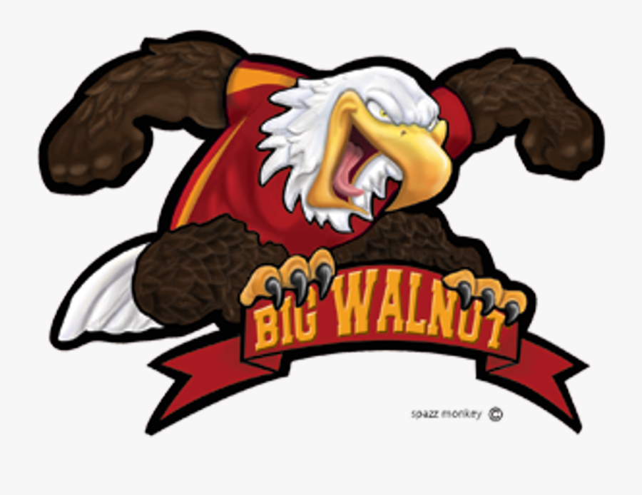 Big Walnut Eagles Logo, Transparent Clipart