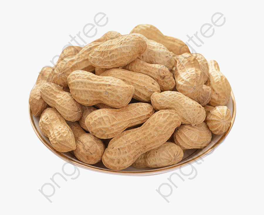 Peanut Clipart Large - Peanut, Transparent Clipart