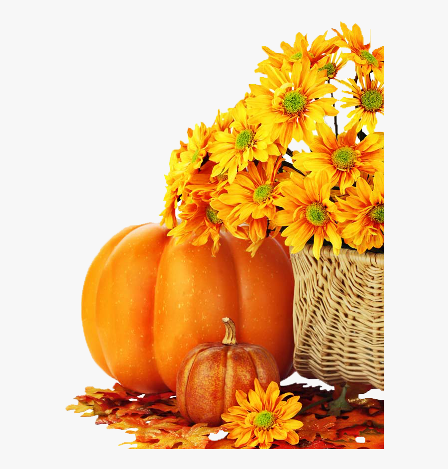 Brown Eggnog Charlie Autumn Facebook Pumpkin - Thanksgiving Greeting Card, Transparent Clipart