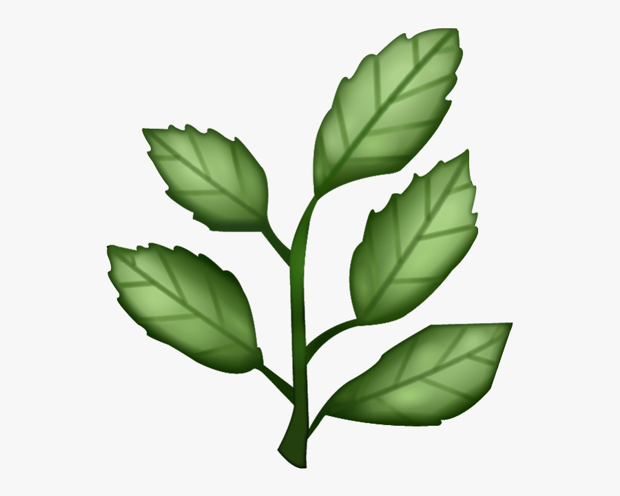 Herb Png Clipart - Herb Emoji, Transparent Clipart