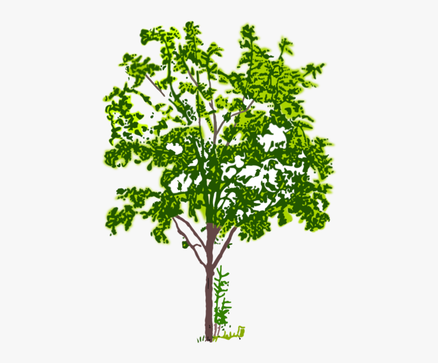 Plant,leaf,herb - B&w Png, Transparent Clipart