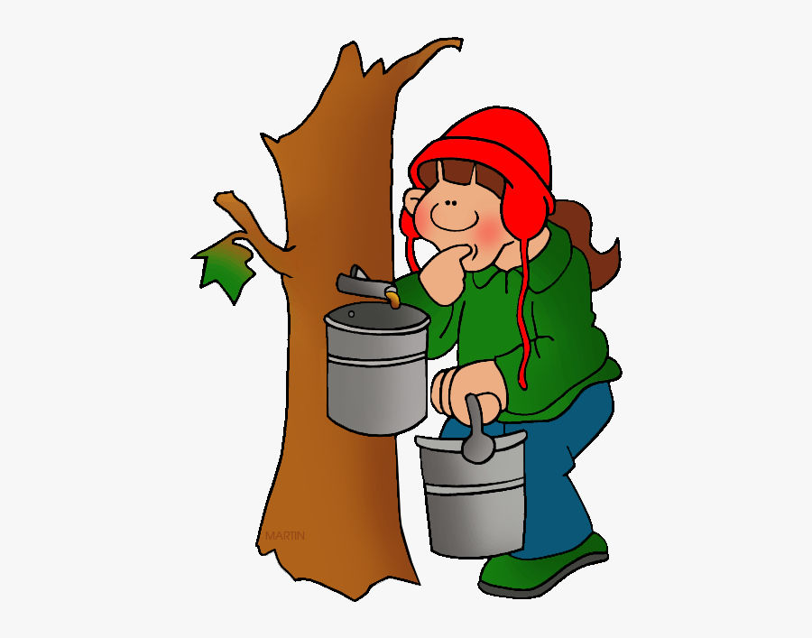 Tapping Maple Syrup - Maple Syrup Tree Clipart, Transparent Clipart