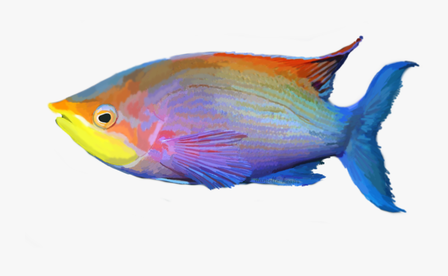 Grafixgirlireland 2 0 Tropical Fish By Grafixgirlireland - Tropical Fish Png, Transparent Clipart
