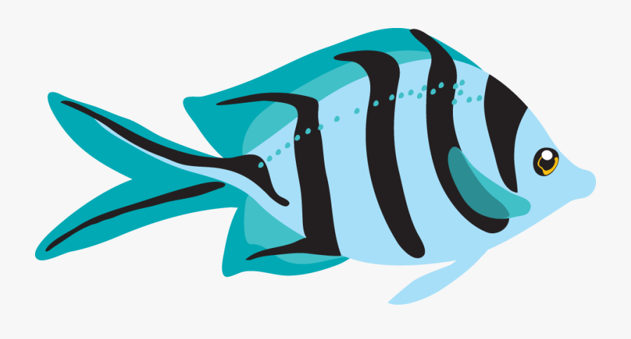 Tropical Fish Clipart Fsh - Tropical Fish Clipart, Transparent Clipart