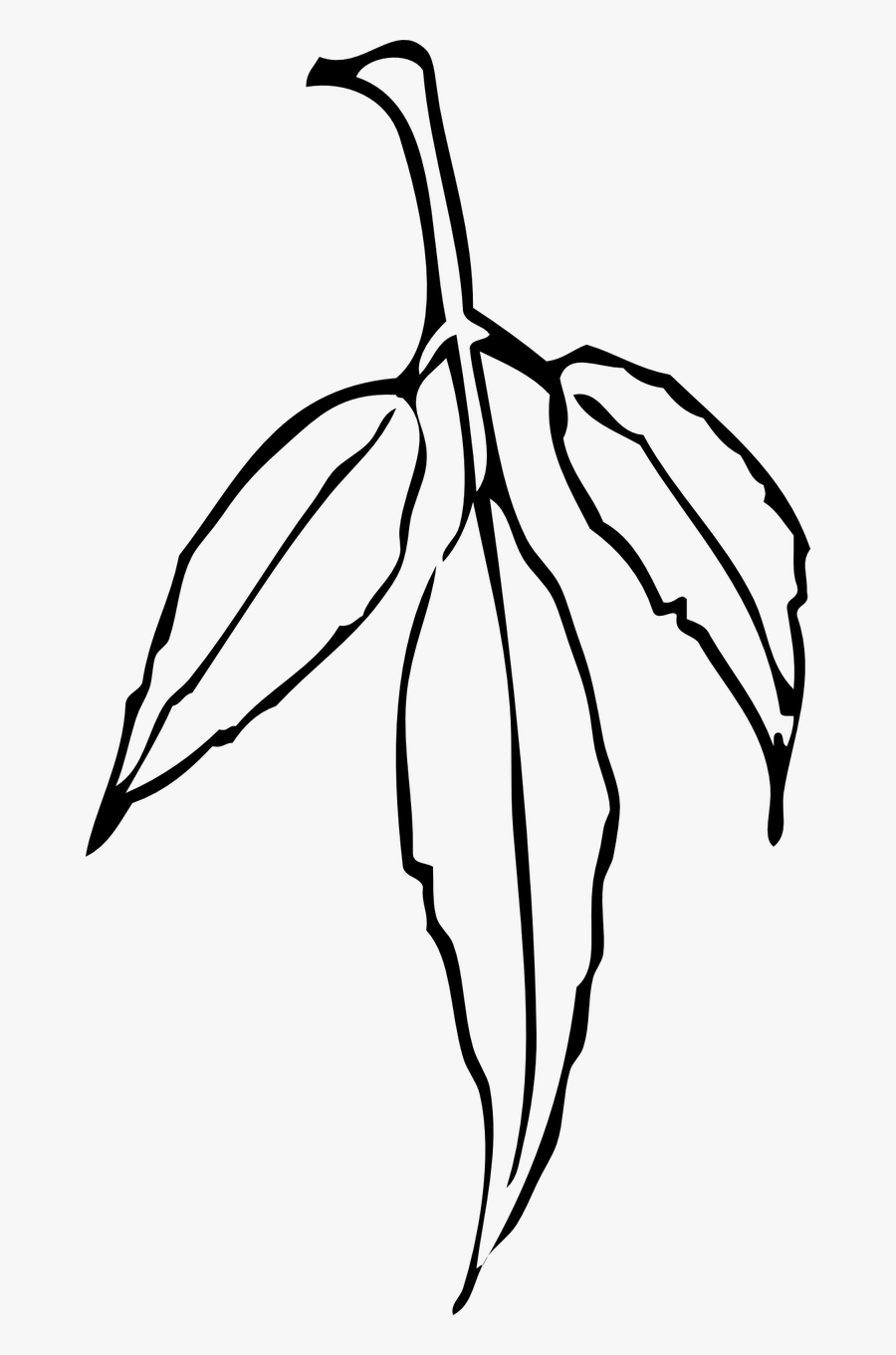 Leaves Plant Tree Branch Png Image - Three Leaf Clipart Black And White, Transparent Clipart