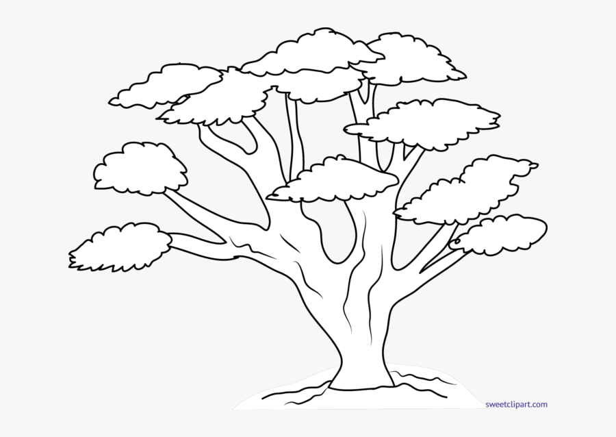 Lineart Clipart Tree - Oak Tree Clipart Black And White Outline, Transparent Clipart