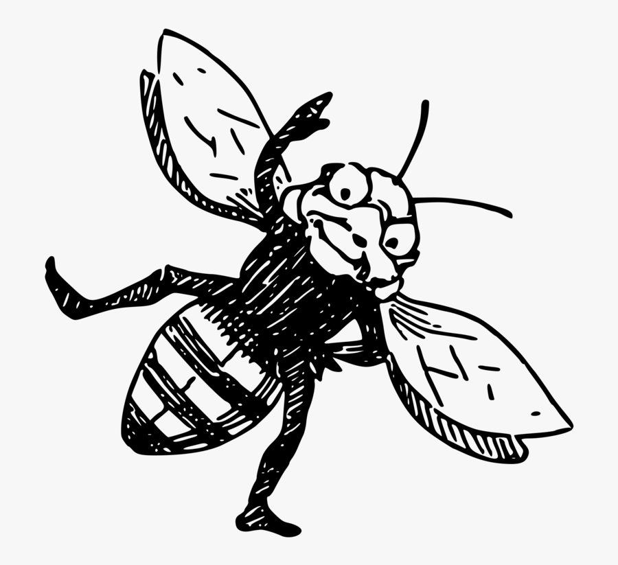 Art,monochrome Photography,artwork - Bee, Transparent Clipart